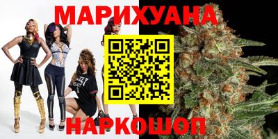 Альфа ПВП Бийск