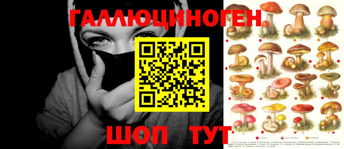Псилоцибиновые грибы ЛСД Каспийск